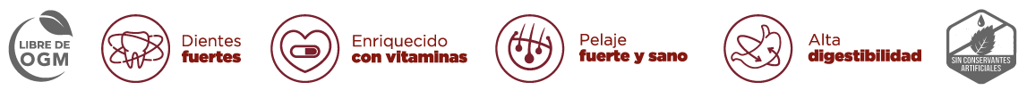 Diseño grafico iconos iconografia ilustraciones brandesign para producto Diseño grafico iconos iconografia ilustraciones brandesign para producto
