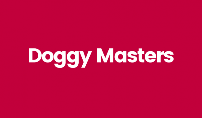 Doggy Masters naming para productos