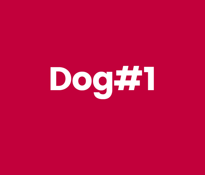 Dog1 nombre escogido para marca comida para perros